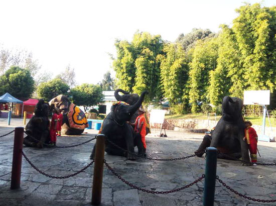 Kunming Elephant Performance